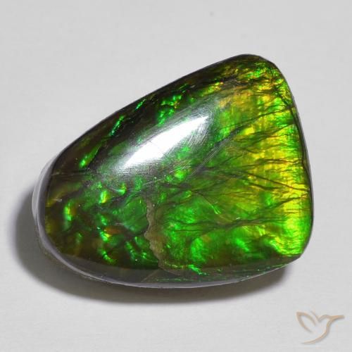 Ammolite Multicolore naturale da 12.13 ct, Taglio a fantasia, Opaco