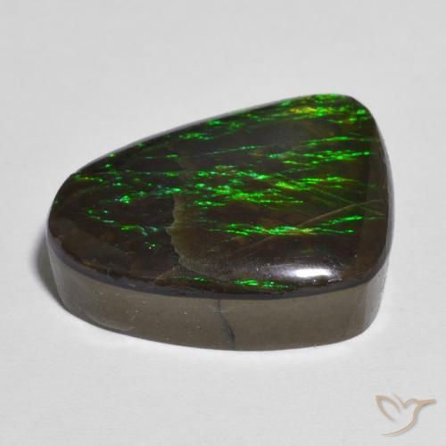 Ammolite Multicolore naturale da 12.13 ct, Taglio a fantasia, Opaco