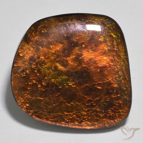Ammolite Multicolore naturale da 16.86 ct, Taglio a fantasia, Opaco