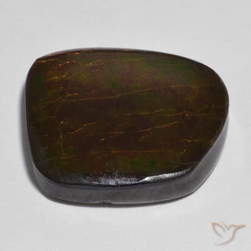 Ammolite Multicolore naturale da 16.86 ct, Taglio a fantasia, Opaco