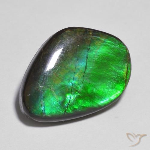 11.06ct Naturale Multicolore Ammolite, Taglio a fantasia, Opaco