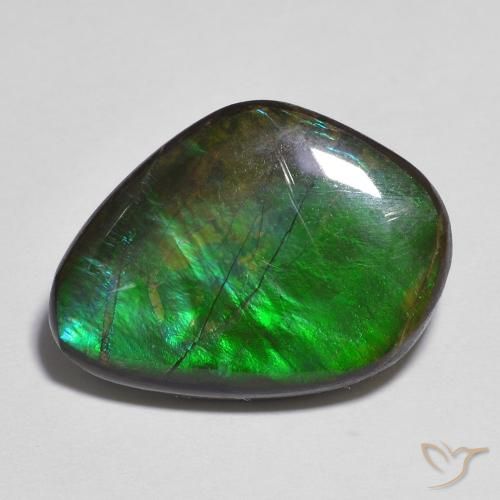 Ammolite Multicolore naturale da 11.06 ct, Taglio a fantasia, Opaco