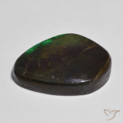 Ammolite Multicolore naturale da 11.06 ct, Taglio a fantasia, Opaco