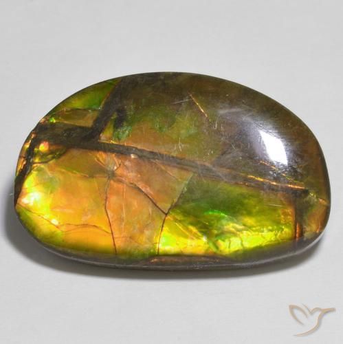 17.79ct Naturale Multicolore Ammolite, Taglio a fantasia, Opaco