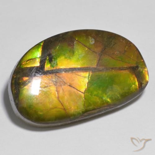 Ammolite Multicolore naturale da 17.79 ct, Taglio a fantasia, Opaco