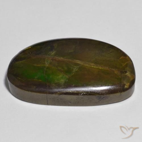 Ammolite Multicolore naturale da 17.79 ct, Taglio a fantasia, Opaco