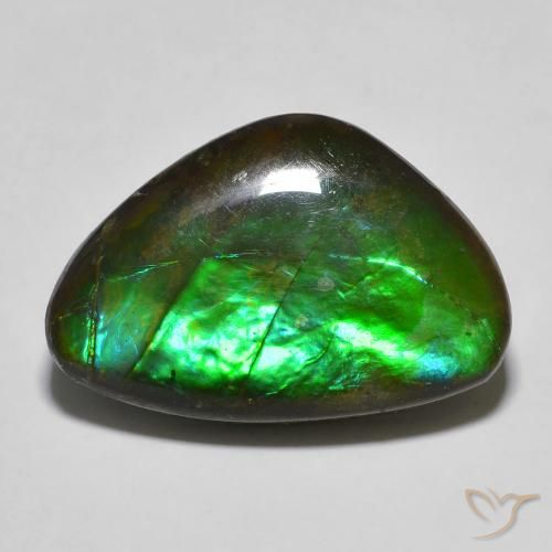 13.27ct Naturale Multicolore Ammolite, Taglio a fantasia, Opaco