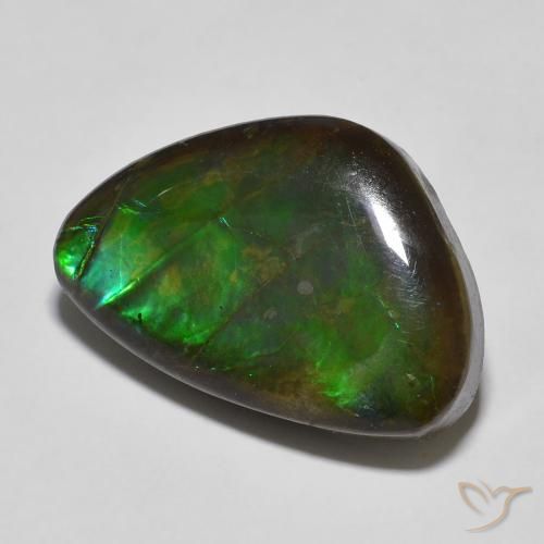 Ammolite Multicolore naturale da 13.27 ct, Taglio a fantasia, Opaco