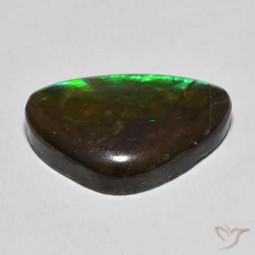 Ammolite Multicolore naturale da 13.27 ct, Taglio a fantasia, Opaco