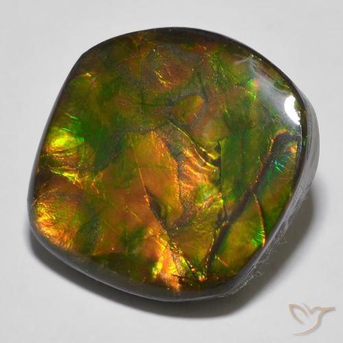 16.97ct Naturale Multicolore Ammolite, Taglio a fantasia, Opaco