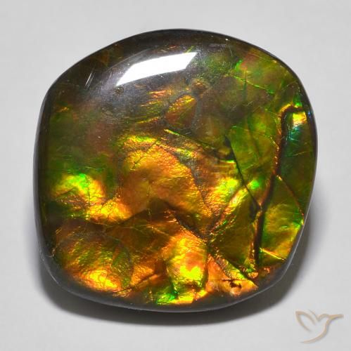 Ammolite Multicolore naturale da 16.97 ct, Taglio a fantasia, Opaco