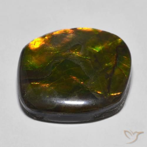 Ammolite Multicolore naturale da 16.97 ct, Taglio a fantasia, Opaco