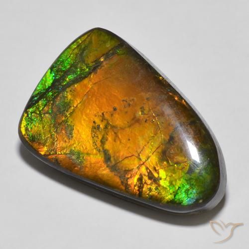16.68ct Naturale Multicolore Ammolite, Taglio a fantasia, Opaco