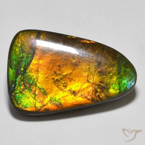 Ammolite Multicolore naturale da 16.68 ct, Taglio a fantasia, Opaco