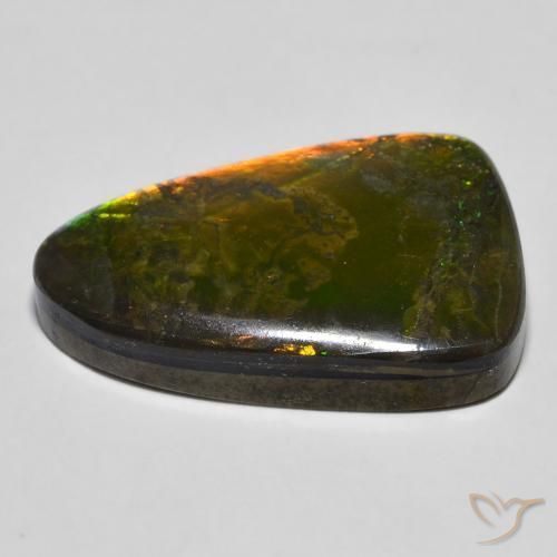 Ammolite Multicolore naturale da 16.68 ct, Taglio a fantasia, Opaco