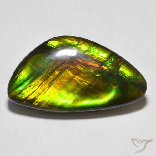 14.81ct Naturale Multicolore Ammolite, Taglio a fantasia, Opaco