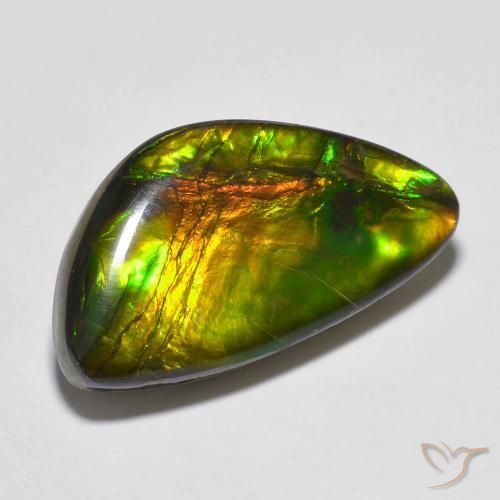 Ammolite Multicolore naturale da 14.81 ct, Taglio a fantasia, Opaco