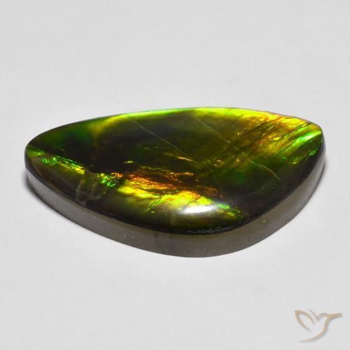 Ammolite Multicolore naturale da 14.81 ct, Taglio a fantasia, Opaco