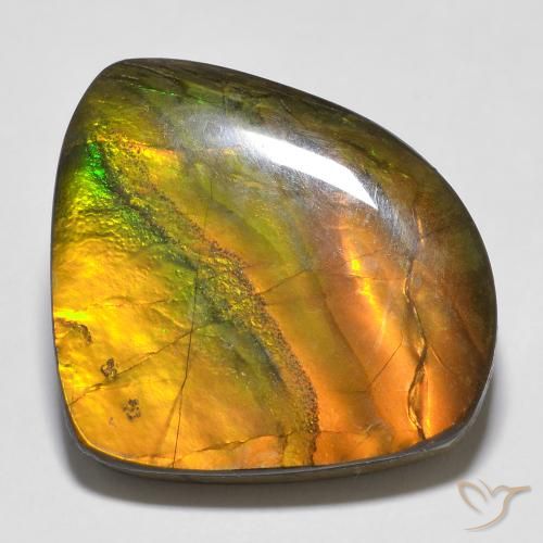 20.15ct Naturale Multicolore Ammolite, Taglio a fantasia, Opaco