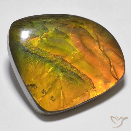 Ammolite Multicolore naturale da 20.15 ct, Taglio a fantasia, Opaco