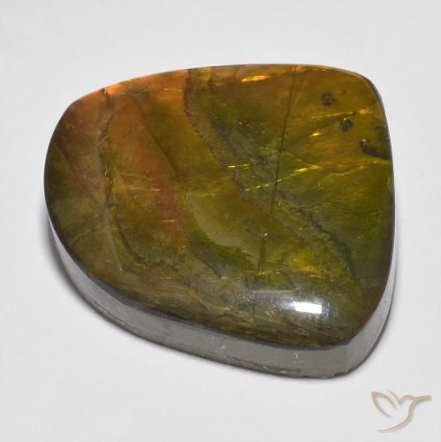 Ammolite Multicolore naturale da 20.15 ct, Taglio a fantasia, Opaco