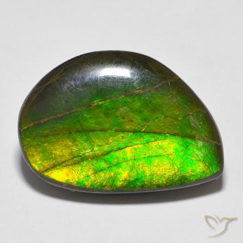 16.43ct Naturale Multicolore Ammolite, Taglio a fantasia, Opaco