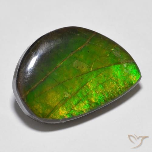 Ammolite Multicolore naturale da 16.43 ct, Taglio a fantasia, Opaco