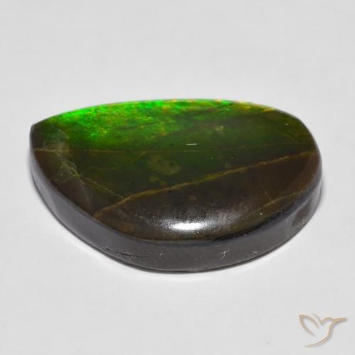 Ammolite Multicolore naturale da 16.43 ct, Taglio a fantasia, Opaco