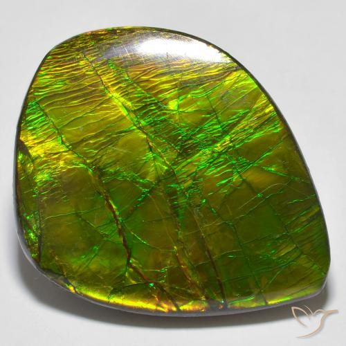 24.62ct Naturale Multicolore Ammolite, Taglio a fantasia, Opaco