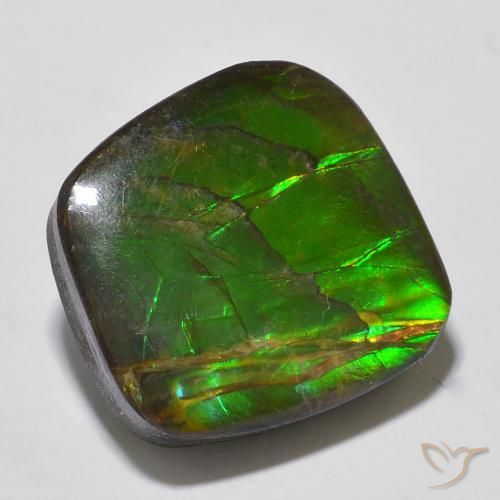 13.53ct Naturale Multicolore Ammolite, Taglio a fantasia, Opaco