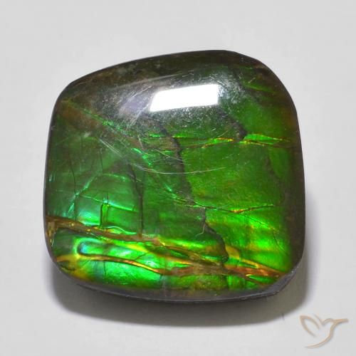 Ammolite Multicolore naturale da 13.53 ct, Taglio a fantasia, Opaco