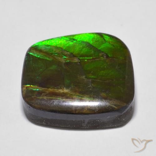 Ammolite Multicolore naturale da 13.53 ct, Taglio a fantasia, Opaco
