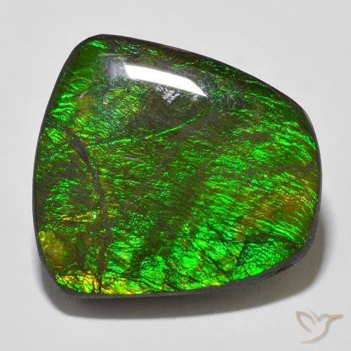 18.43ct Naturale Multicolore Ammolite, Taglio a fantasia, Opaco