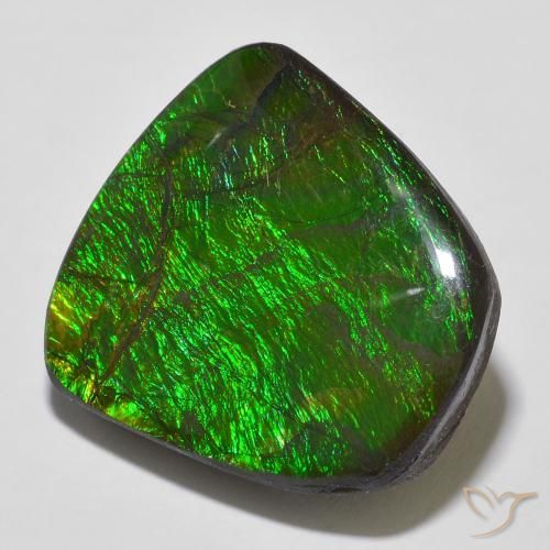 Ammolite Multicolore naturale da 18.43 ct, Taglio a fantasia, Opaco