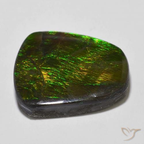 Ammolite Multicolore naturale da 18.43 ct, Taglio a fantasia, Opaco