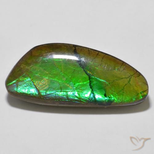 12.56ct Naturale Multicolore Ammolite, Taglio a fantasia, Opaco
