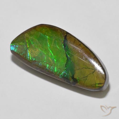 Ammolite Multicolore naturale da 12.56 ct, Taglio a fantasia, Opaco