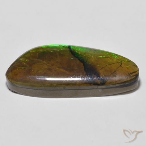 Ammolite Multicolore naturale da 12.56 ct, Taglio a fantasia, Opaco