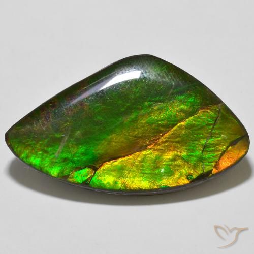 23.11ct Naturale Multicolore Ammolite, Taglio a fantasia, Opaco