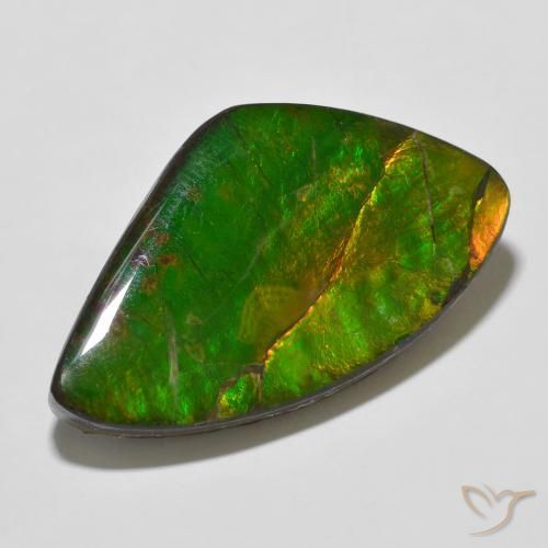 Ammolite Multicolore naturale da 23.11 ct, Taglio a fantasia, Opaco