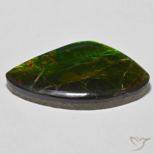 Ammolite Multicolore naturale da 23.11 ct, Taglio a fantasia, Opaco