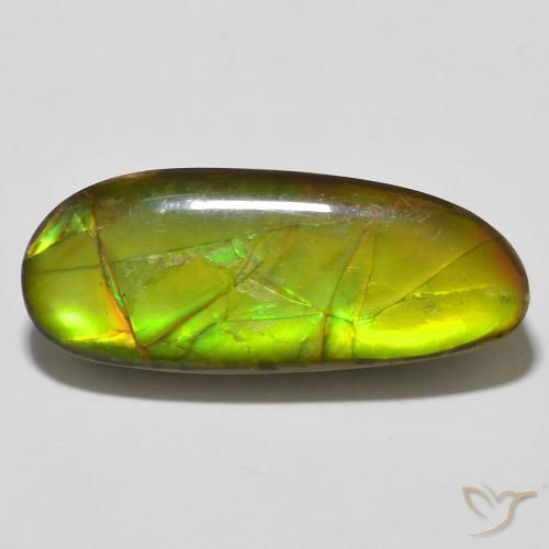 14.67ct Naturale Multicolore Ammolite, Taglio a fantasia, Opaco