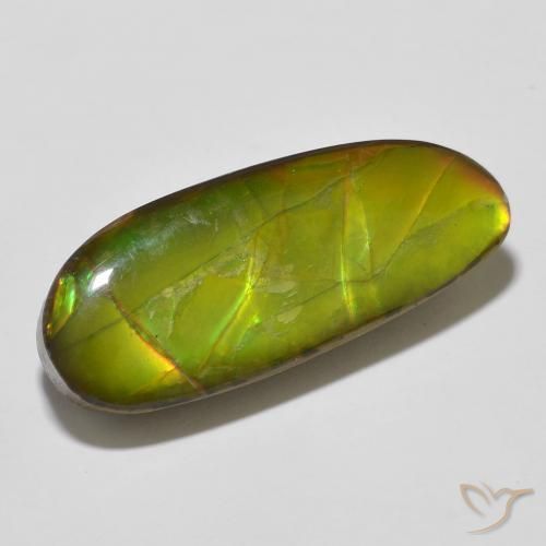 Ammolite Multicolore naturale da 14.67 ct, Taglio a fantasia, Opaco