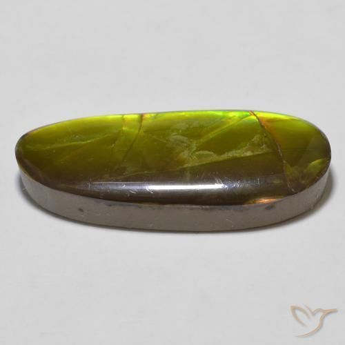 Ammolite Multicolore naturale da 14.67 ct, Taglio a fantasia, Opaco