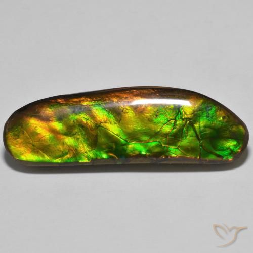 23.11ct Naturale Multicolore Ammolite, Taglio a fantasia, Opaco
