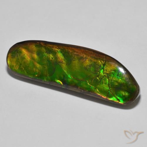 Ammolite Multicolore naturale da 23.11 ct, Taglio a fantasia, Opaco