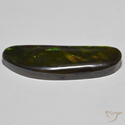 Ammolite Multicolore naturale da 23.11 ct, Taglio a fantasia, Opaco