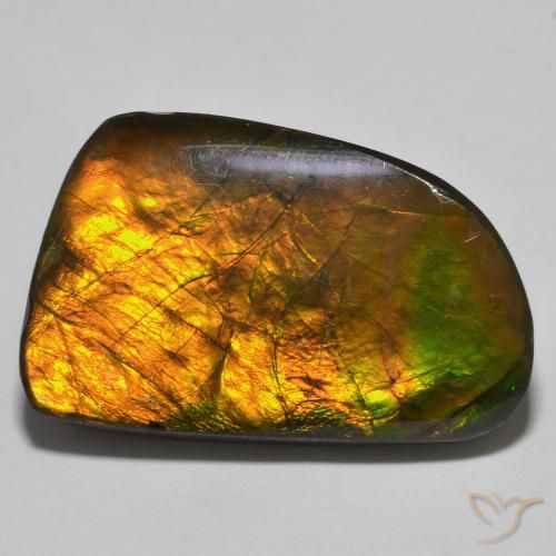 23.93ct Naturale Multicolore Ammolite, Taglio a fantasia, Opaco