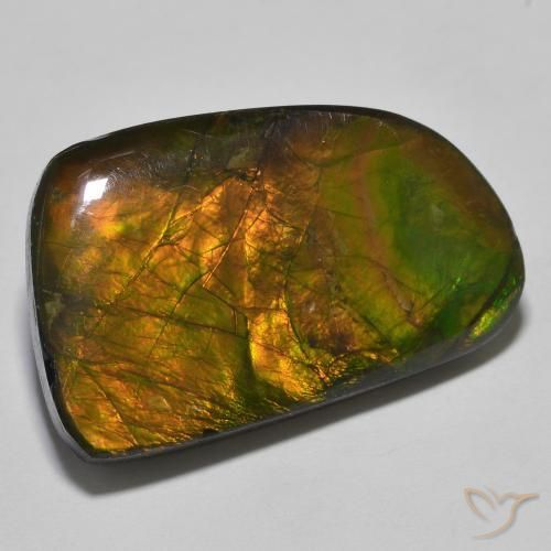 Ammolite Multicolore naturale da 23.93 ct, Taglio a fantasia, Opaco