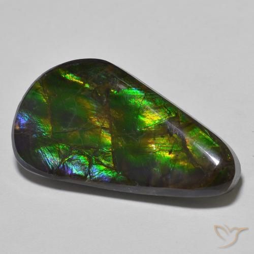 Ammolite Multicolore naturale da 15.09 ct, Taglio a fantasia, Opaco